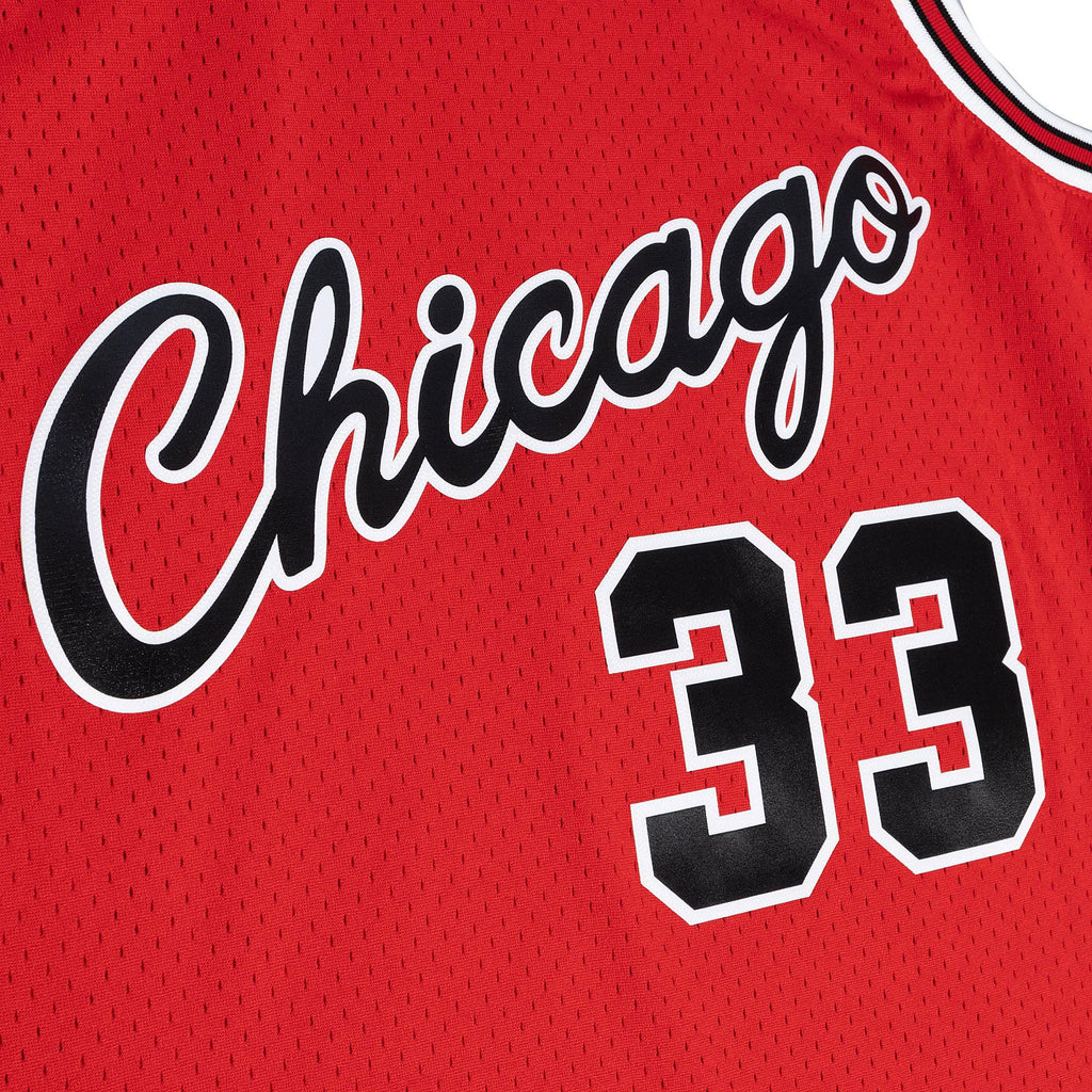 Scottie Pippen Chicago Bulls 2003/04 Hardwood Classics product image 2
