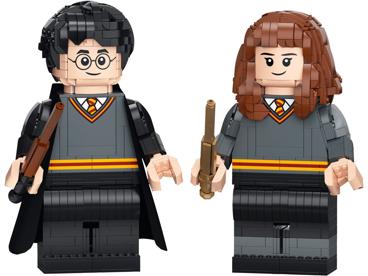 76393 Harry Potter & Hermione Granger (Certified) LEGO Harry Potter product image 1, provided for visual reference and