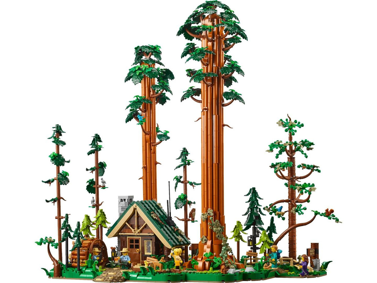 910058 Sequoia Tree Trail (Retired) LEGO BrickLink product image 1, provided for visual reference and product detail review