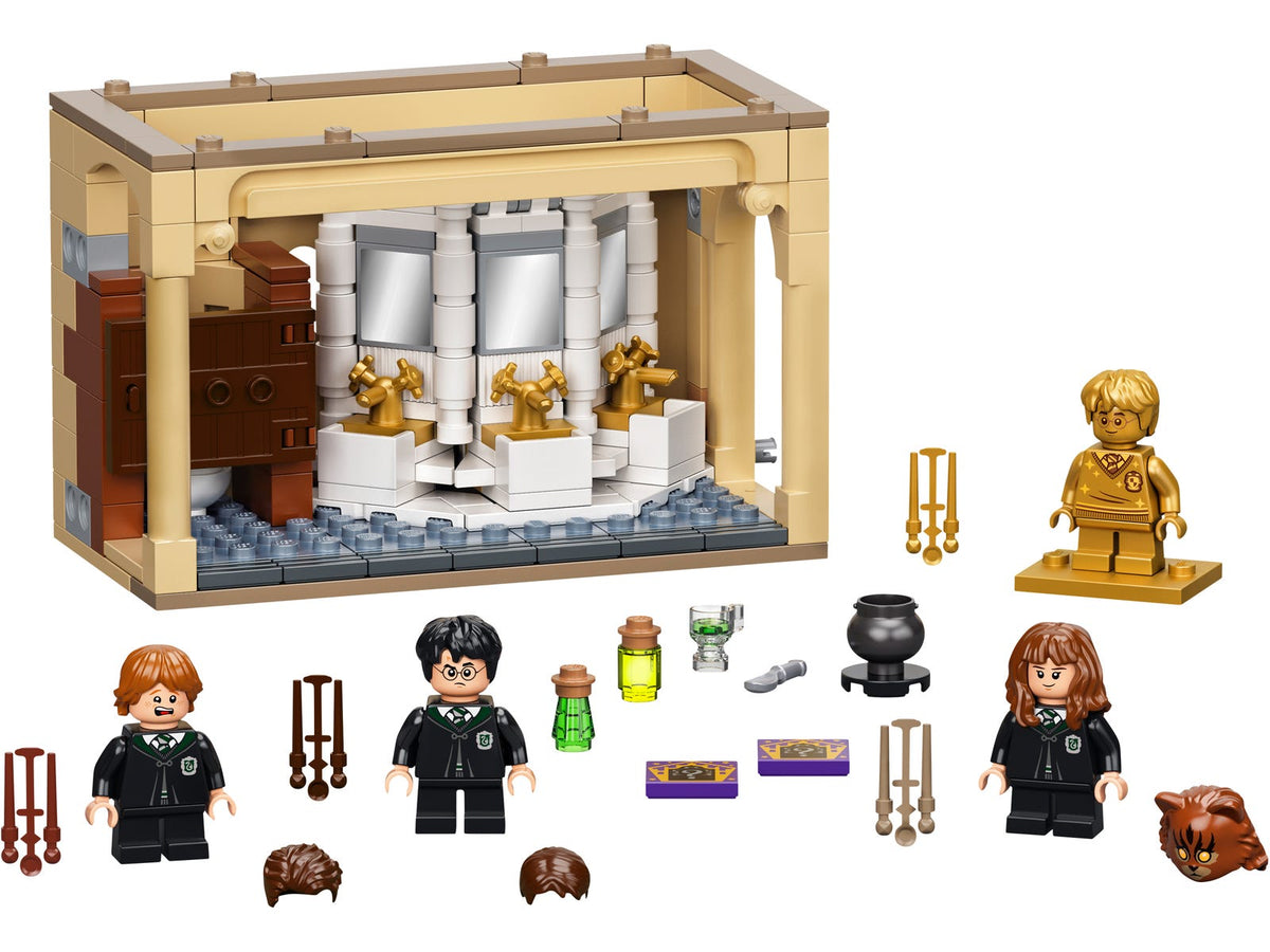 76386 Hogwarts: Polyjuice Potion Mistake (Certified) LEGO Harry Potter product image 1, provided for visual reference and